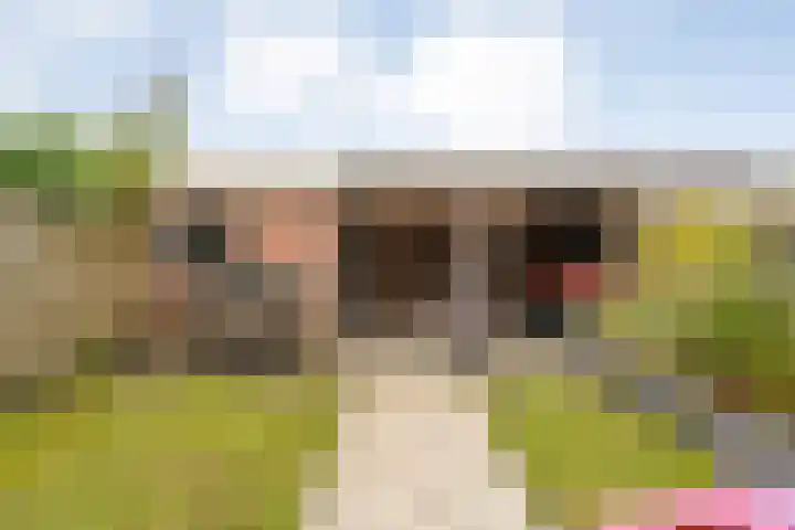 Waardeel 58 Steenwijk thumbnail 25