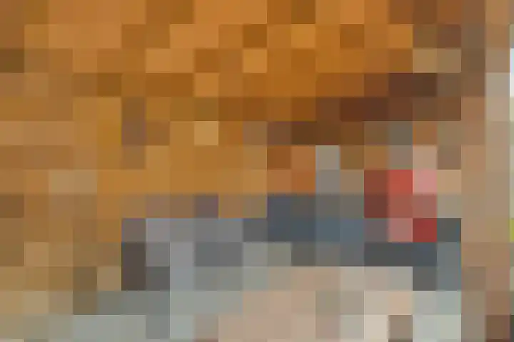 Waardeel 58 Steenwijk thumbnail 26