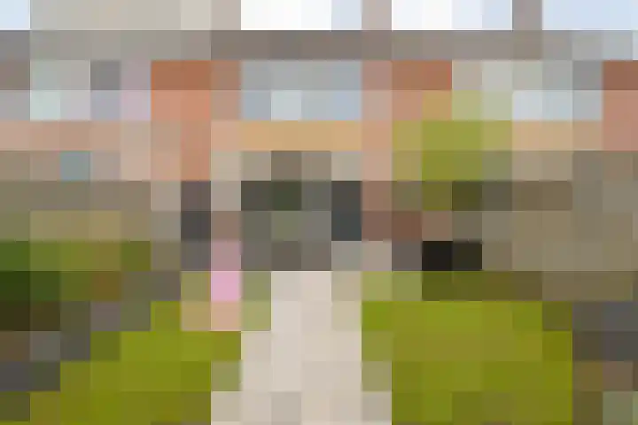 Waardeel 58 Steenwijk thumbnail 27