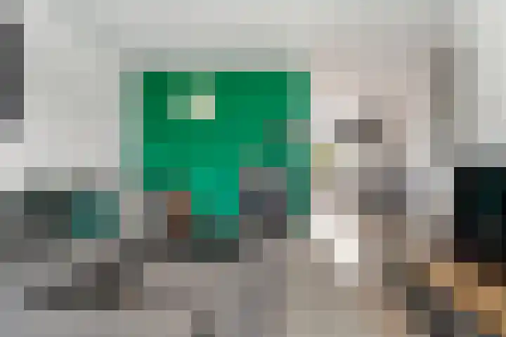 Waardeel 58 Steenwijk thumbnail 4