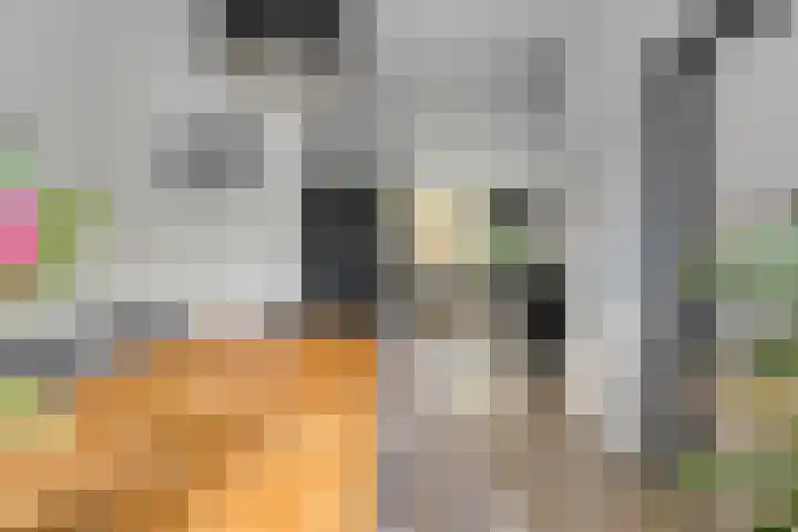 Waardeel 58 Steenwijk thumbnail 6
