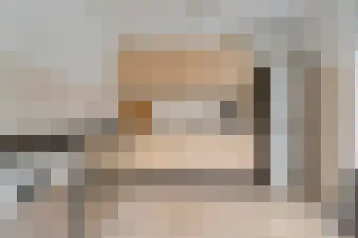 Waardeel 58 Steenwijk thumbnail 7