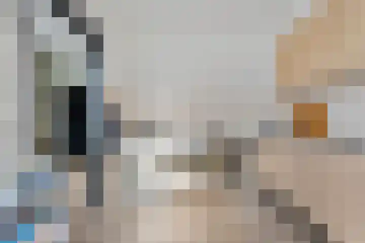 Waardeel 58 Steenwijk thumbnail 8