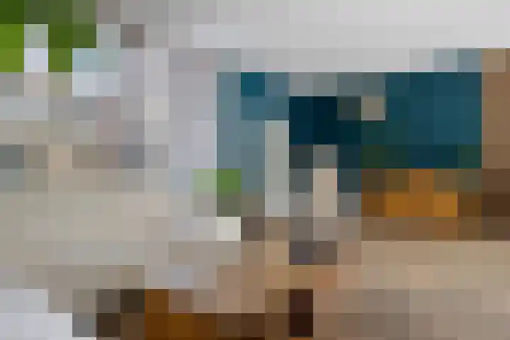 Waardeel 71 Steenwijk thumbnail 10