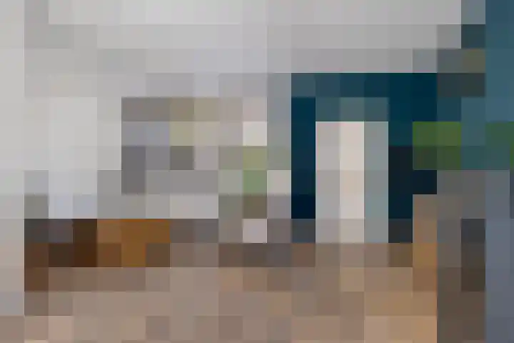 Waardeel 71 Steenwijk thumbnail 11