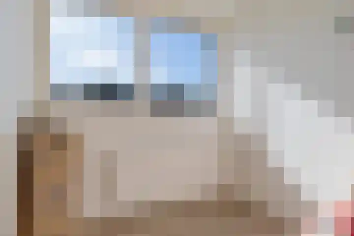 Waardeel 71 Steenwijk thumbnail 25