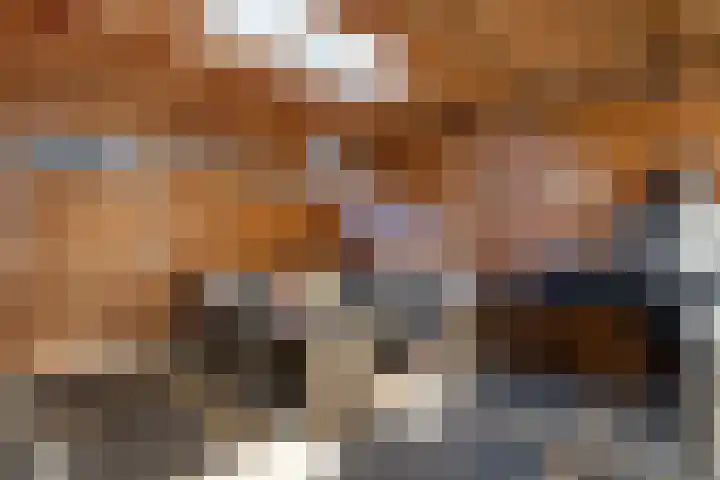 Waardeel 71 Steenwijk thumbnail 33