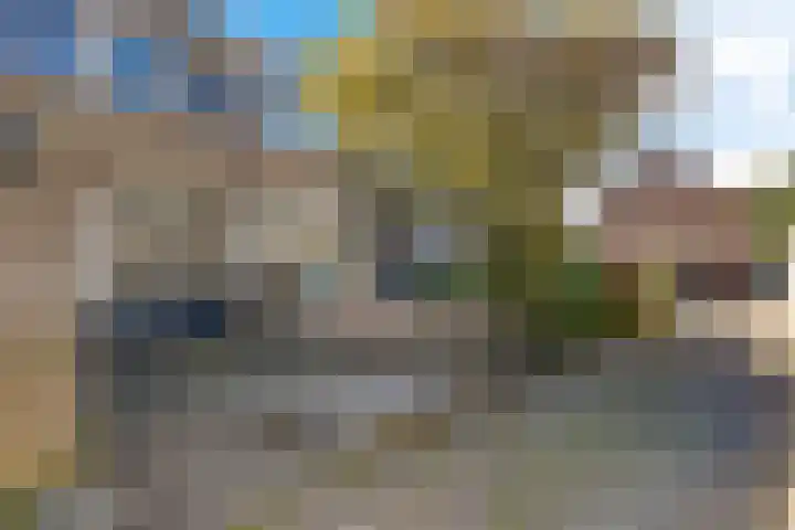 Waardeel 71 Steenwijk thumbnail 39