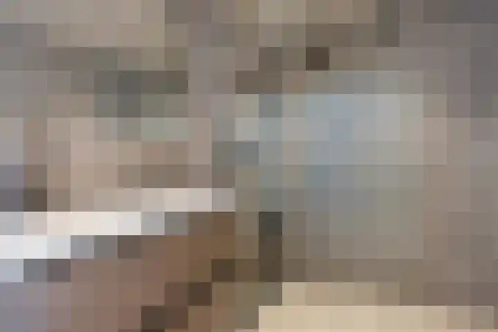 Waardeel 71 Steenwijk thumbnail 5