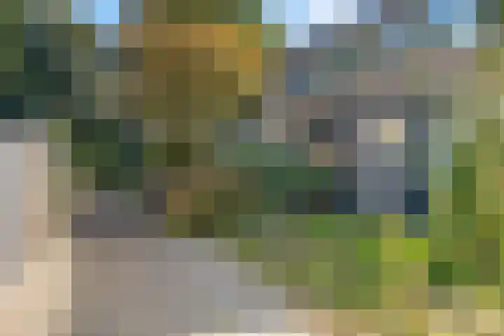 Waardeel 71 Steenwijk thumbnail 7