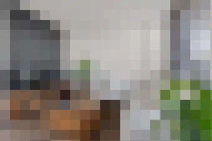 Waardeel 71 Steenwijk thumbnail 8