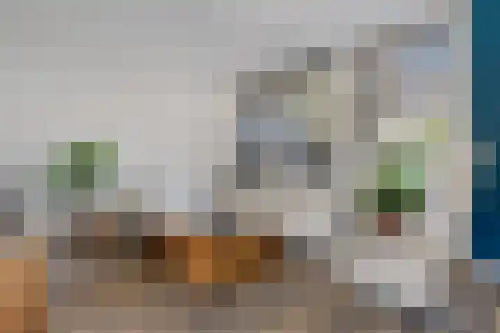 Waardeel 71 Steenwijk thumbnail 9