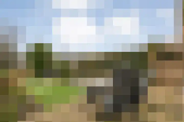 Waardeel 78 Steenwijk thumbnail 23