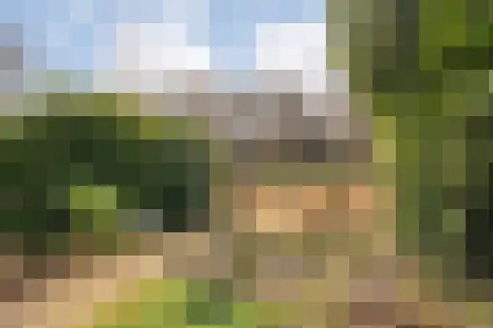Waardeel 78 Steenwijk thumbnail 24