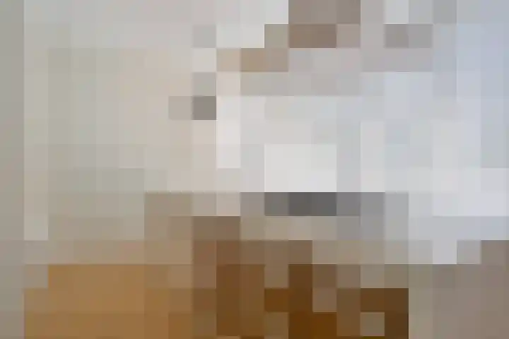 Waardijn 2 Uden thumbnail 10