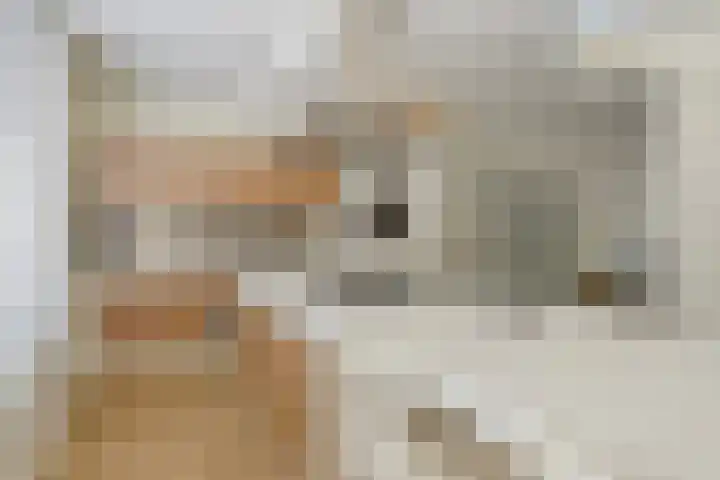 Waardijn 2 Uden thumbnail 11