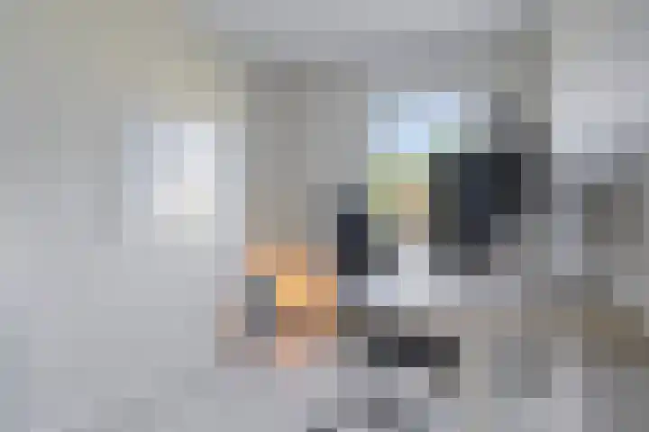 Waardijn 2 Uden thumbnail 22