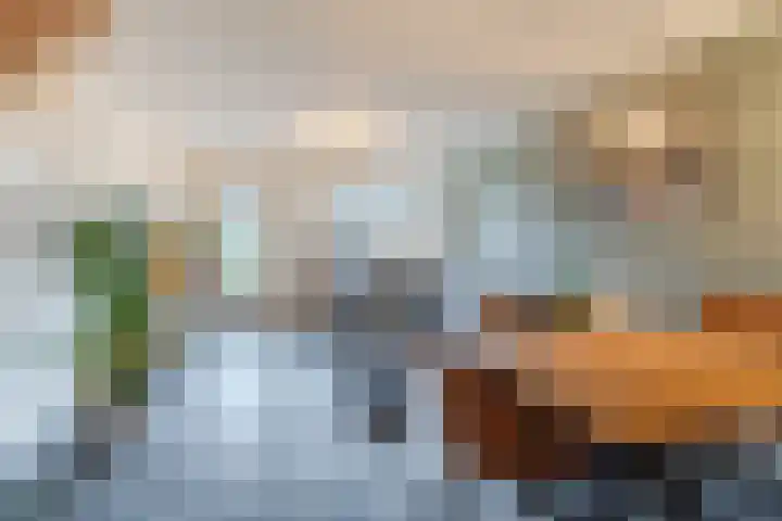 Wachtendonk 607 Uden thumbnail 16