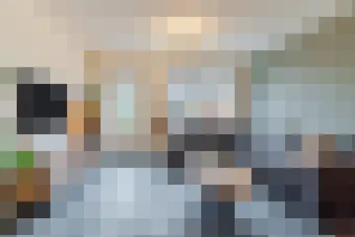 Wachtendonk 607 Uden thumbnail 17