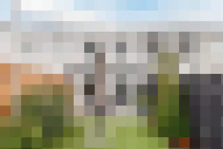 Wachtendonk 607 Uden thumbnail 35