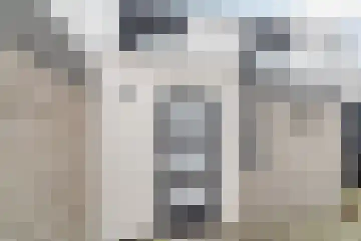 Wachtendonk 607 Uden thumbnail 43