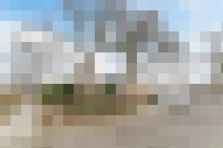 Wachtendonk 607 Uden thumbnail 44
