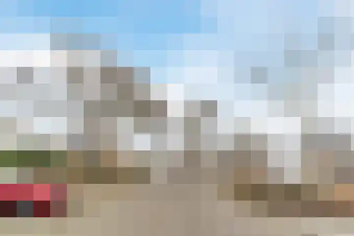 Wachtendonk 607 Uden thumbnail 45