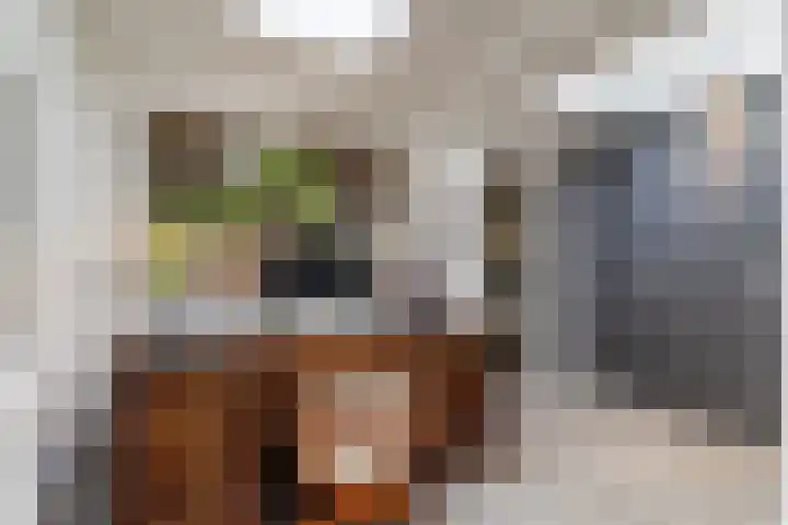 Wachtendonk 607 Uden thumbnail 6