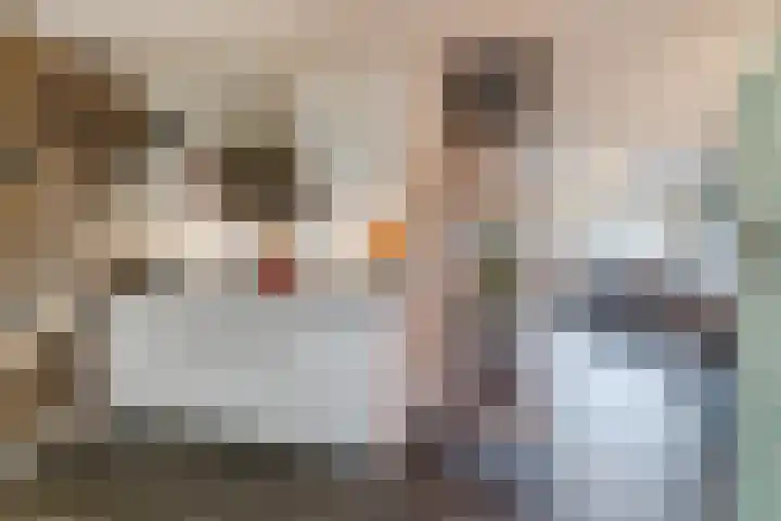 Wachtendonk 607 Uden thumbnail 9
