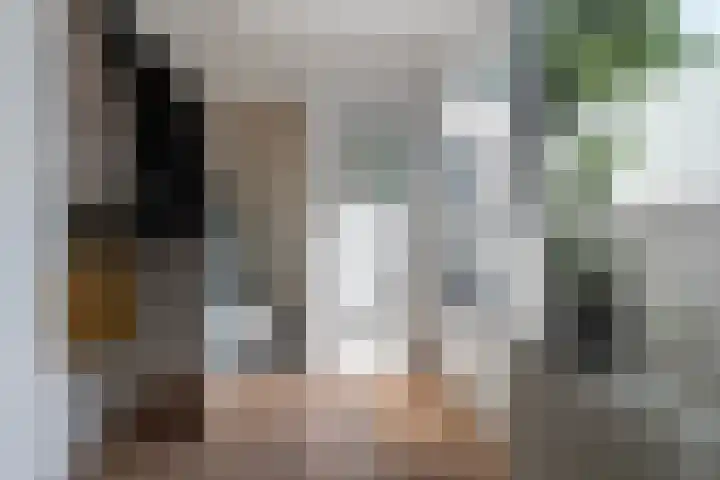 Wachtendonk 701 Uden thumbnail 11