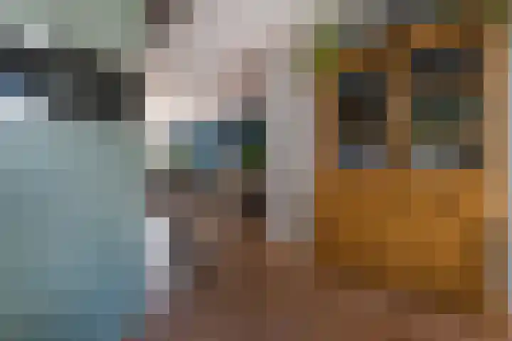 Wachtendonk 701 Uden thumbnail 12