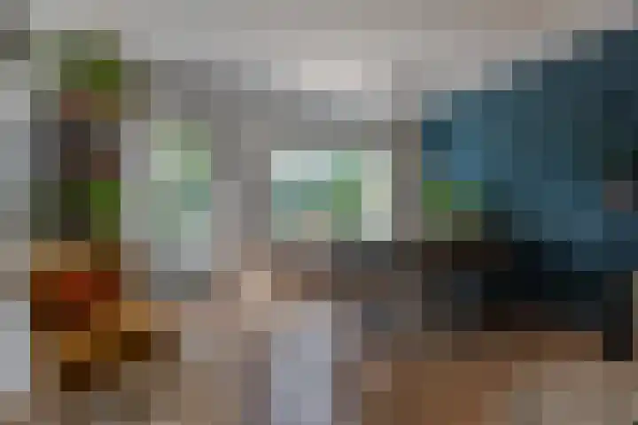 Wachtendonk 701 Uden thumbnail 14