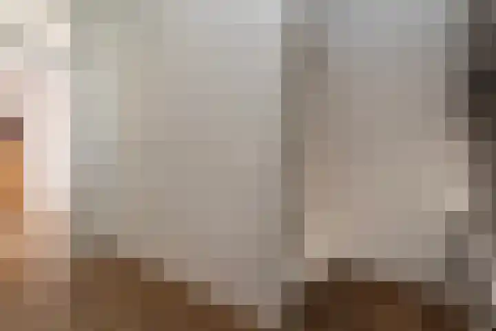Wachtendonk 701 Uden thumbnail 20