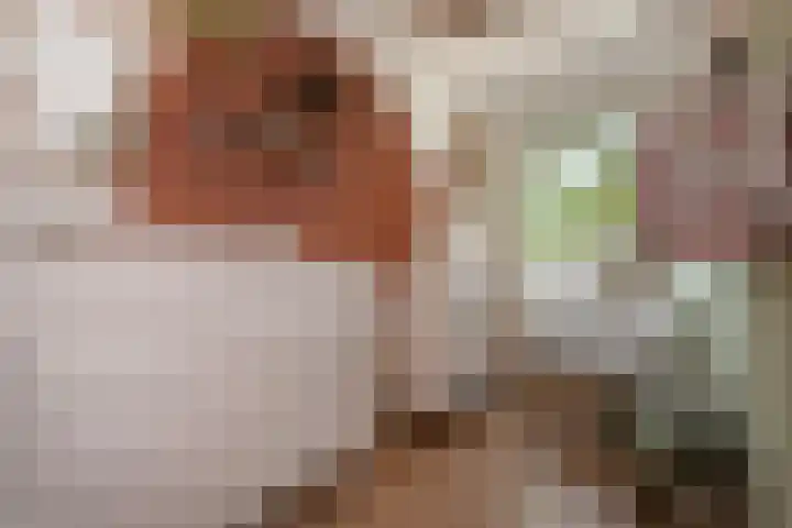 Wachtendonk 701 Uden thumbnail 22
