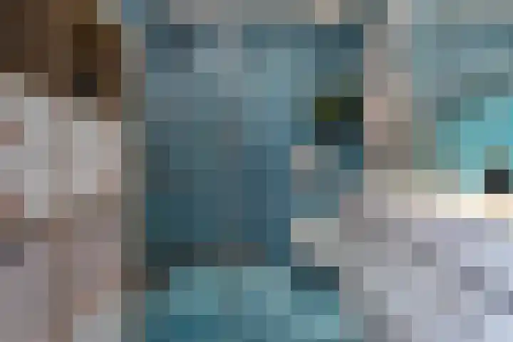 Wachtendonk 701 Uden thumbnail 24