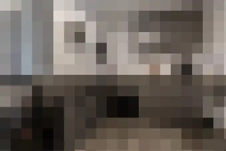 Wachtendonk 701 Uden thumbnail 26