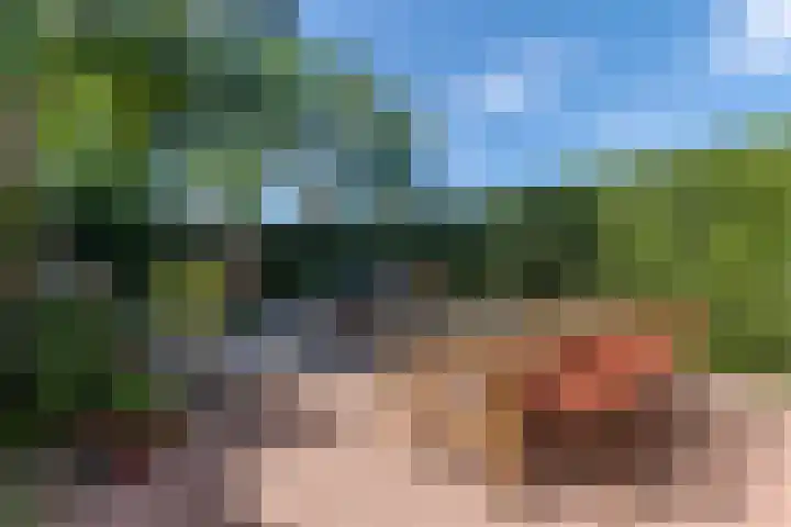 Wachtendonk 701 Uden thumbnail 27