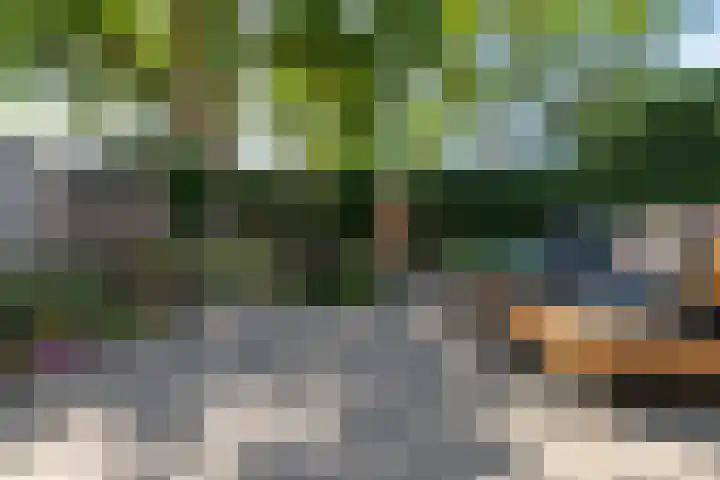 Wachtendonk 701 Uden thumbnail 29