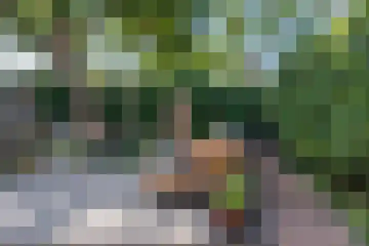 Wachtendonk 701 Uden thumbnail 30