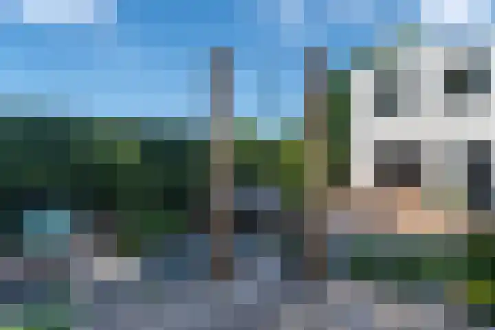 Wachtendonk 701 Uden thumbnail 32
