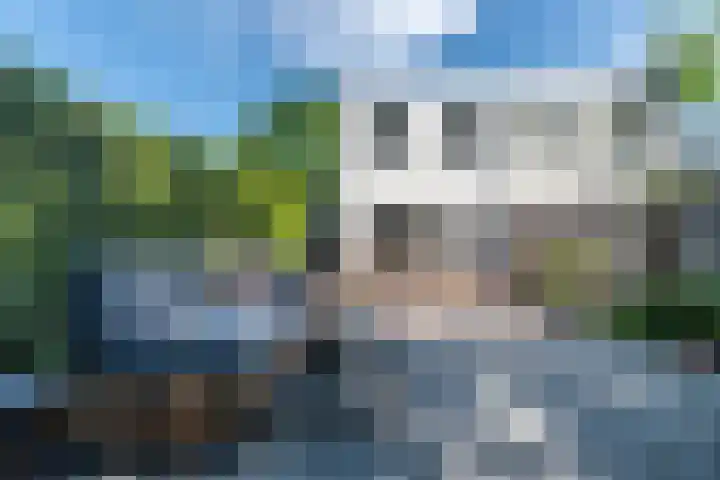 Wachtendonk 701 Uden thumbnail 33