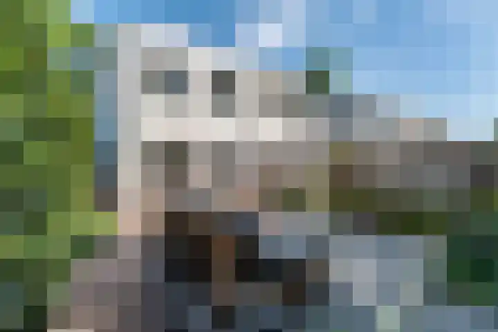 Wachtendonk 701 Uden thumbnail 34