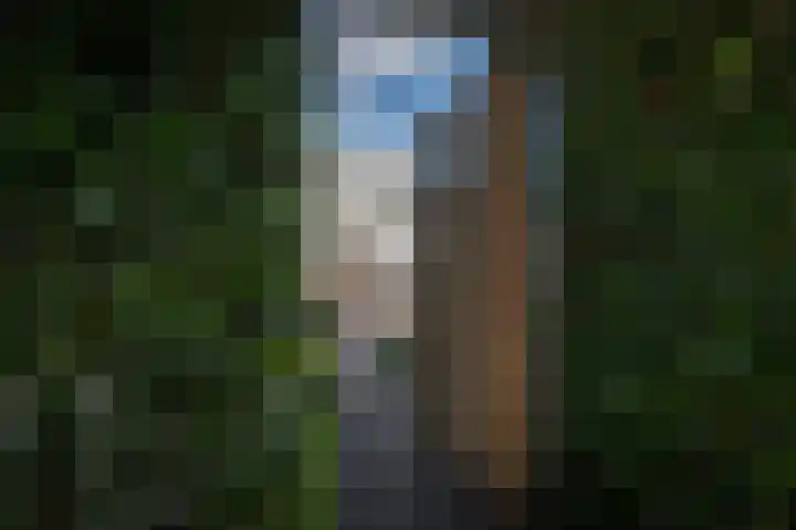 Wachtendonk 701 Uden thumbnail 35