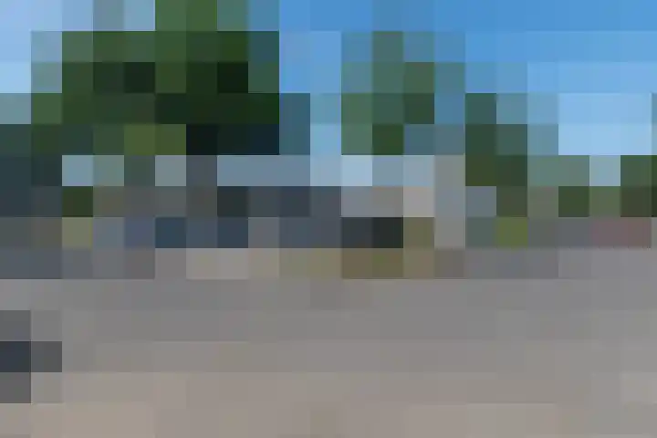 Wachtendonk 701 Uden thumbnail 37