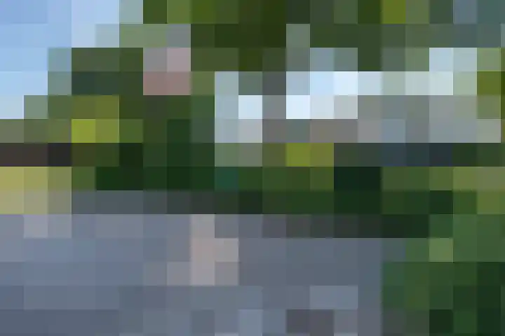 Wachtendonk 701 Uden thumbnail 38