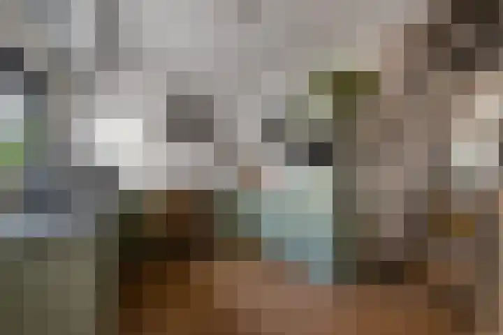 Wachtendonk 701 Uden thumbnail 4