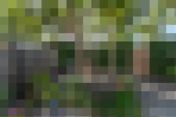 Wachtendonk 701 Uden thumbnail 40