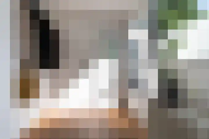 Wachtendonk 701 Uden thumbnail 9