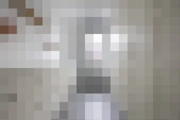 Wachtspoor 10 Assendelft thumbnail 22