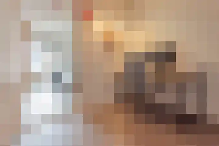 Wachtspoor 10 Assendelft thumbnail 30